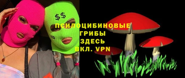 прущие грибы Майский