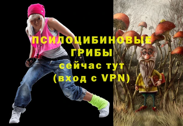 прущие грибы Майский