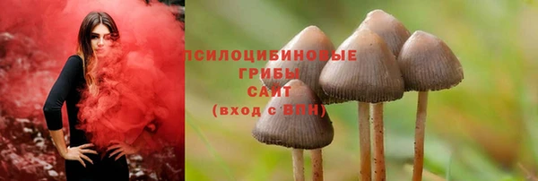 скорость Лиски