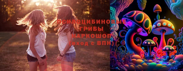 дурь Липки
