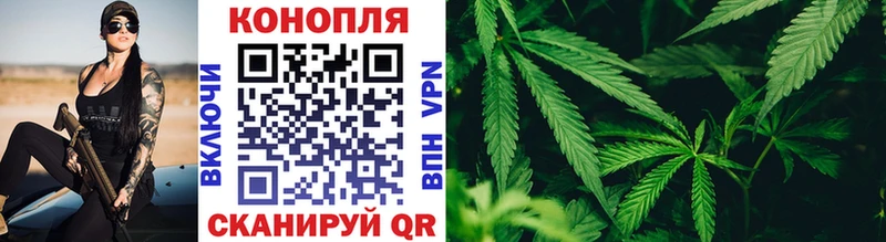 сколько стоит  Тогучин  ссылка на мегу ссылки  Канабис SATIVA & INDICA 